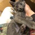 ほたて子は、いつもマイペースで頑張ってます