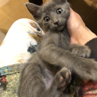 ほたて子は、いつもマイペースで頑張ってます