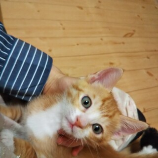 もうすぐ2か月☆かわいい男の子たち