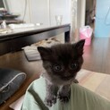 里親さんが決まりました