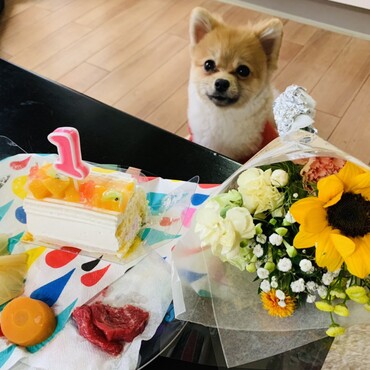 お誕生日