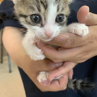 里親さま決まりました☆