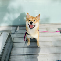 ぽてち
