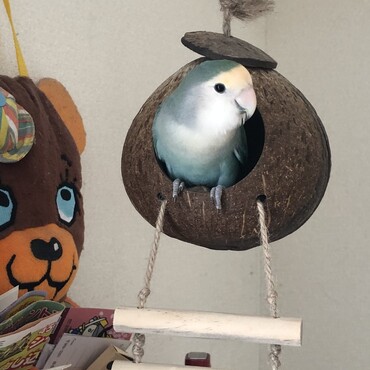 の写真
