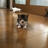ヤンチャーズ、トライアルが決まりました♪ サムネイル2