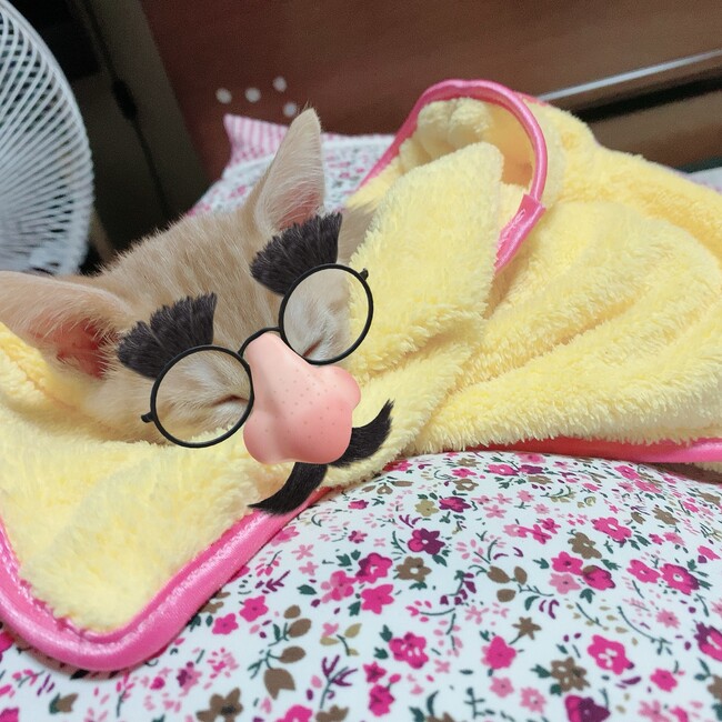 ハート09のカバー写真
