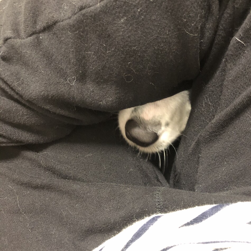 こはるのカバー写真