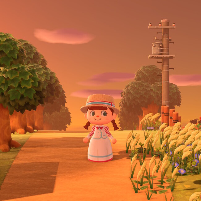 necodayoriのカバー写真