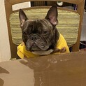 温厚で優しいです