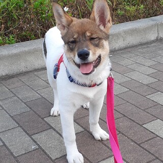 元気一杯な女の子「ぴー」