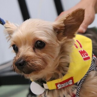 ワクワクしちゃう♪キラキラおめめのマシューちゃん♡