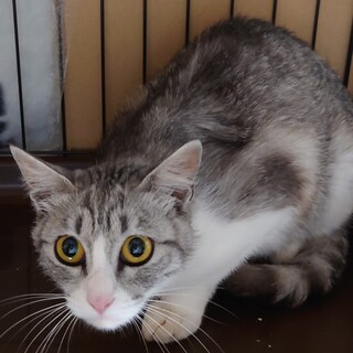 若いお母さん○あさひさん○