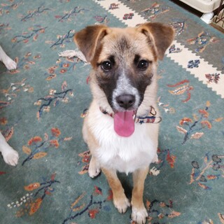 小柄でおっとりさんの女の子！おとちゃん