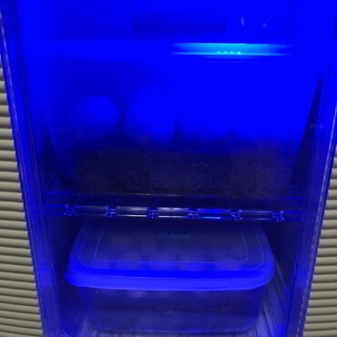 の写真