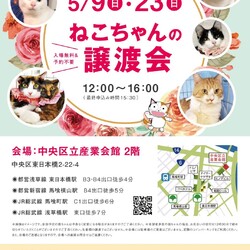 ねこざんまい譲渡会@東日本橋