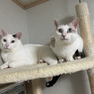 見ていて飽きない仲良し親子⭐️