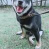 お庭で走った後の写真かな？