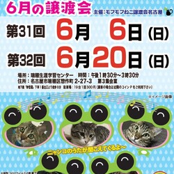猫の譲渡会　in　名古屋市瑞穂生涯学習センター