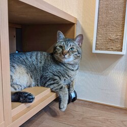 「家族になって1年経ちました」サムネイル3