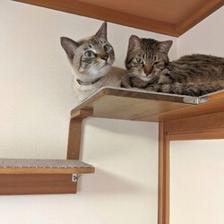 家族になって1年経ちました