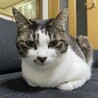 の写真