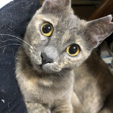 の写真