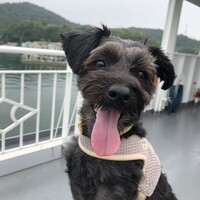 サン