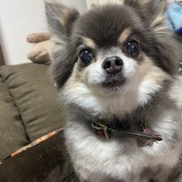 スモール