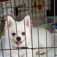ユキ