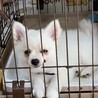ちょっと成長。
