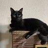 の写真