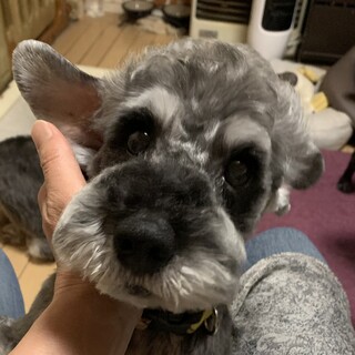 甘えたで人懐っこい可愛い女の子♪