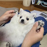 この顔好き