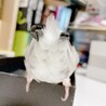 の写真