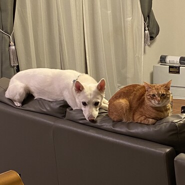 の写真