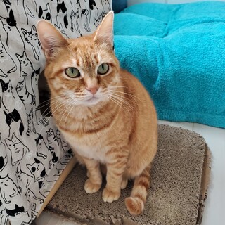 あちゃ&あぎ フタリ一緒に募集