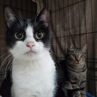 〈うみ〉 →〈うー〉ちゃんになりました