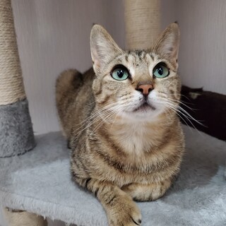 〈えん〉応援ありがとうございました！