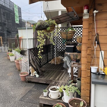 の写真