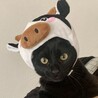 178mさん