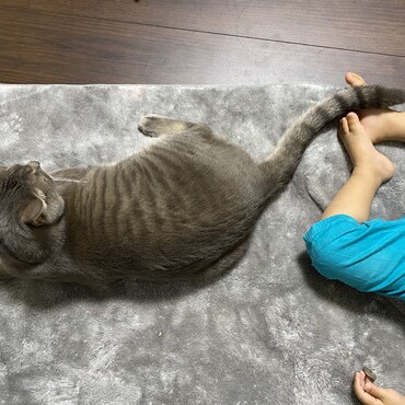 幼児との距離感。寝てるならいいか的な。