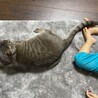 幼児との距離感。寝てるならいいか的な。