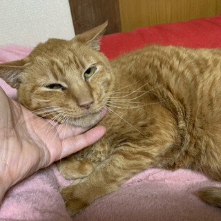 カンタ★通り名は甘爺