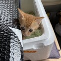 大事にしてくれる方！