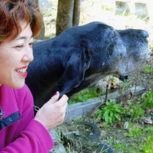 マウンテンドームのカバー写真