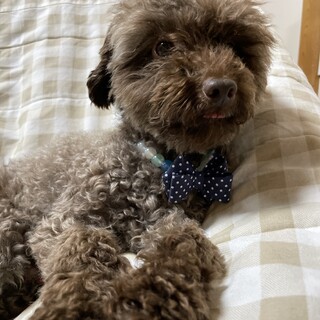 そお君、募集終了しました