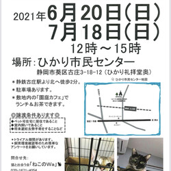 ねこのWa保護猫譲渡会　静岡市葵区