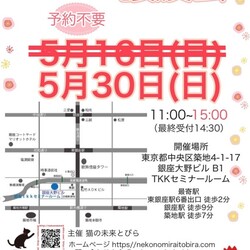 ★猫の未来とびら譲渡会★東銀座徒歩2分東劇隣【10：30より整理券配布】