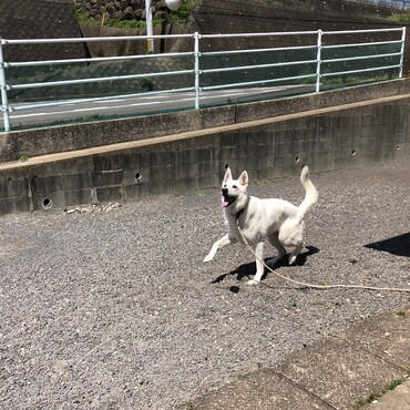 気が滅入ることが。。。。。(´；ω；`)ｳｩｩ