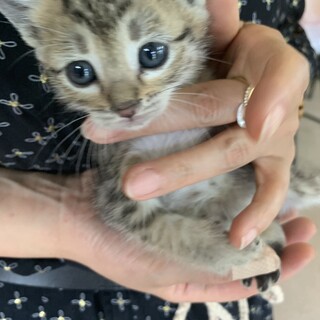 里親さま決まりました☆